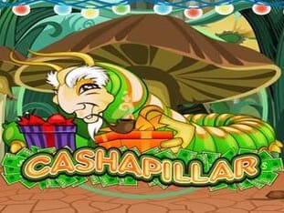 Cashapillar thumbnail